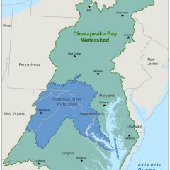 Map of Potomac Basin within the Chesapeake Bay Watershed