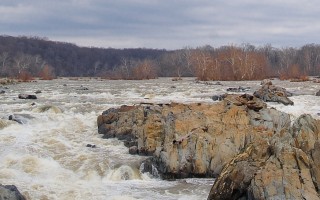 Wide=angle view of a very full Potomac river at Great Falls during winter. Bare trees are seen on both sides of the river.