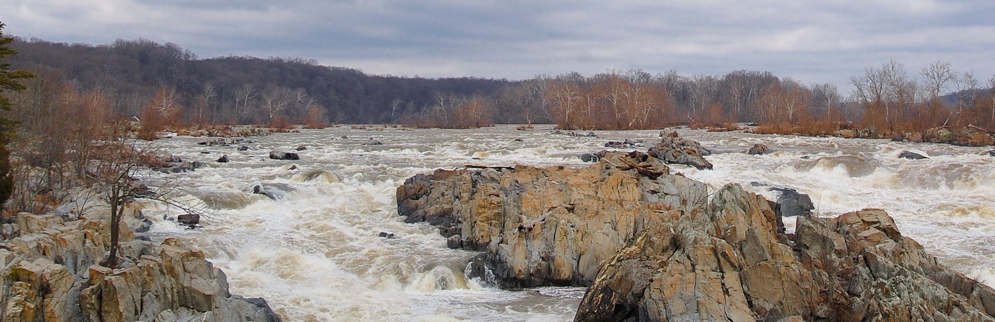 Wide=angle view of a very full Potomac river at Great Falls during winter. Bare trees are seen on both sides of the river.