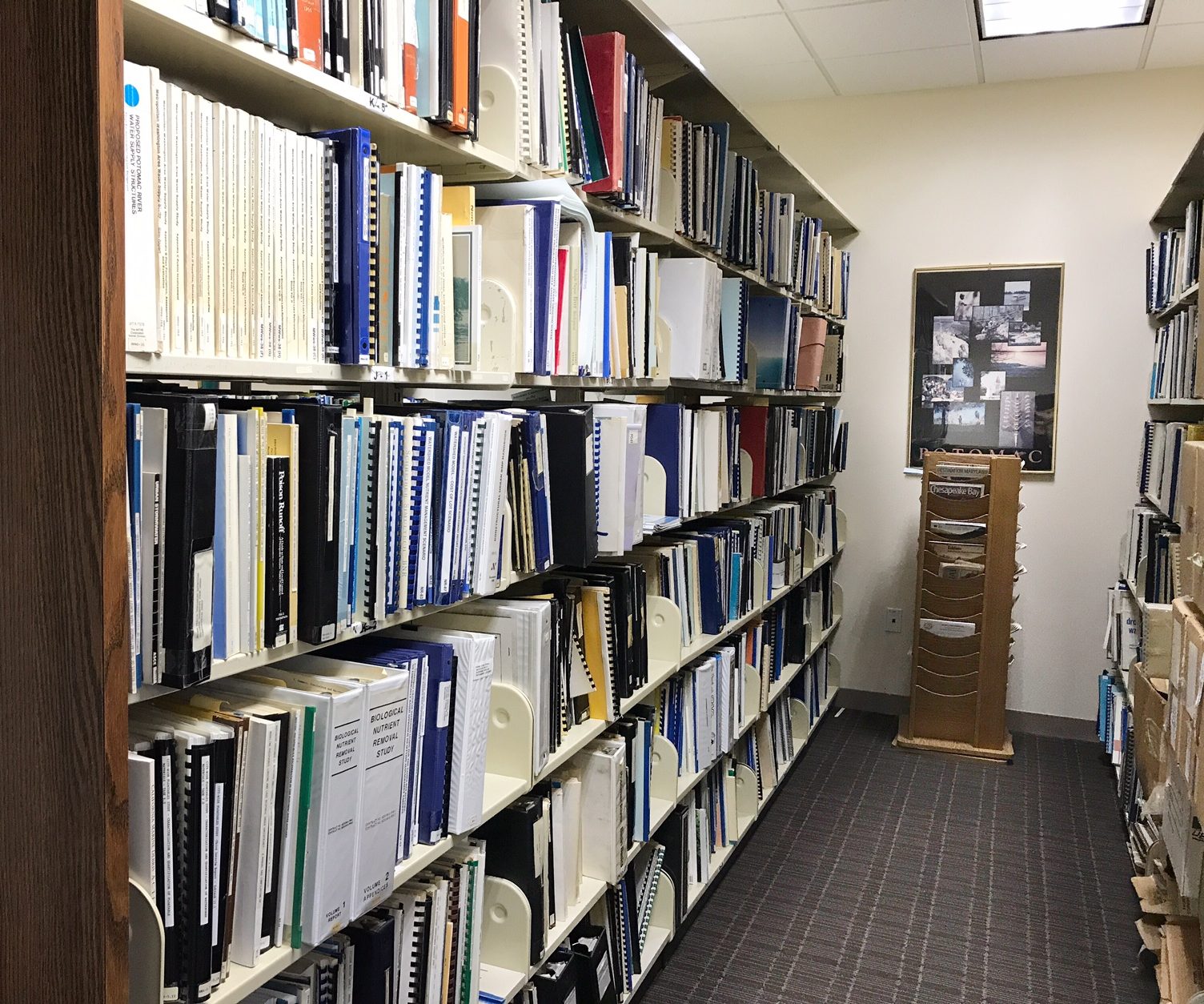 An image of tall bookshelves filled with reports, books, etc.