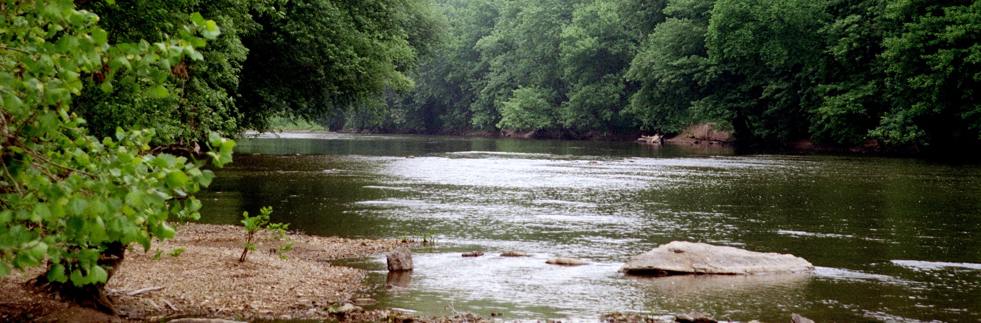 A view of Monocacy River with trees on both sides.