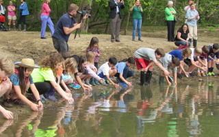 A line of young students crouching along the riverside with plastic cups in their hands. They are releasing shad fry into the river.