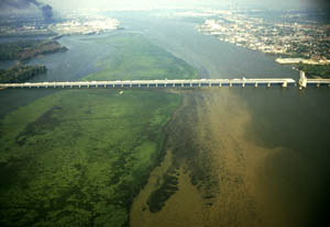 An aerial view of a river with a bridge spanning across it. The left half of the river is bright green.