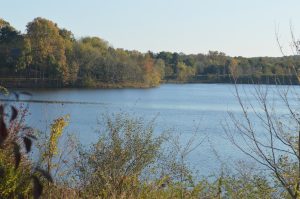 An image of a lake on a sunny day.