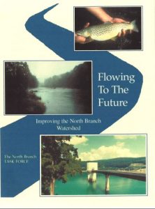 Cover page of Flowing to the Future Report on the North Branch