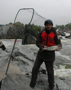 A man standing on the side of the river holding an American shad.