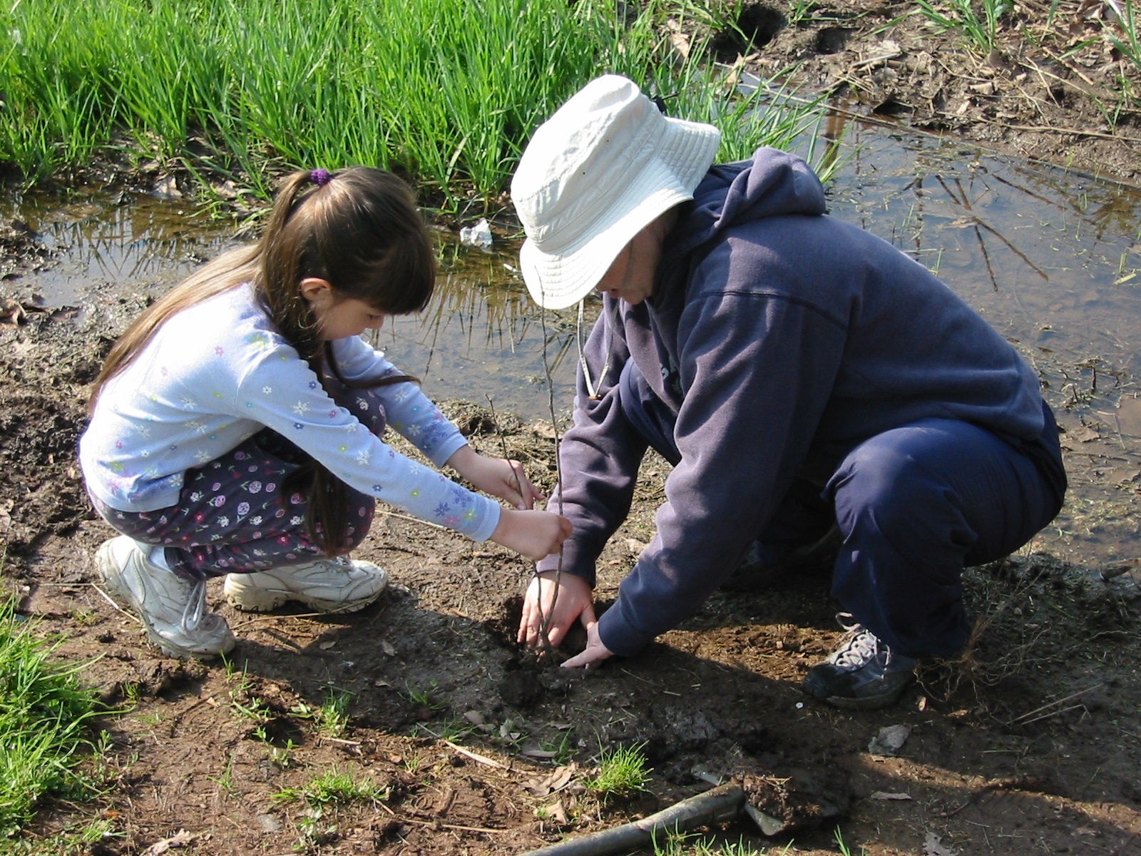 A young girl helps her mom plant a tree next to a stream.