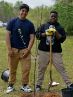 Two high school-aged boys planting a tree.