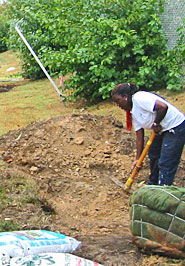 A woman digging up rocks in freshly turned soil.