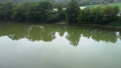 Photo of a tree-lined river form the river bank.