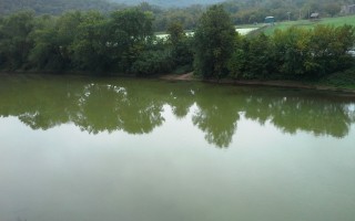 Photo of a tree-lined river form the river bank.