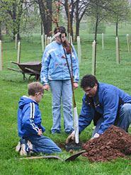 Two children and a man on a lawn. The man is kneeling down, putting the final touches on a newly planted tree.