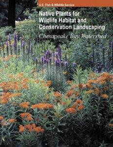 NativePlantsResource