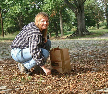 A woman crouching, putting acorns into a paper bag.