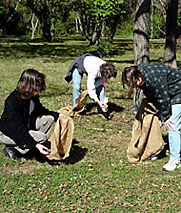 Several women holding burlap sacks and picking up acorns off the ground.