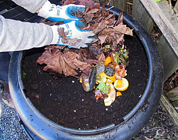 An image of a composter.