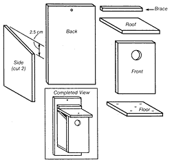 Instructions on how to build a bluebird box.