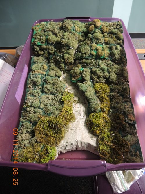 A completed watershed model with sponges and moss.