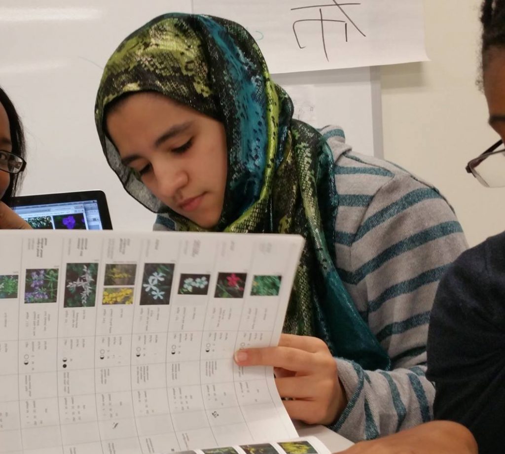 Students looking through a book about plants