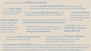 Excerpts from Chesapeake Bay Program Agreements and Virginia Water Quality Standards