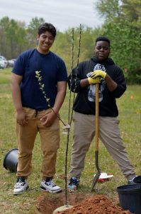 Students Planting a Tree