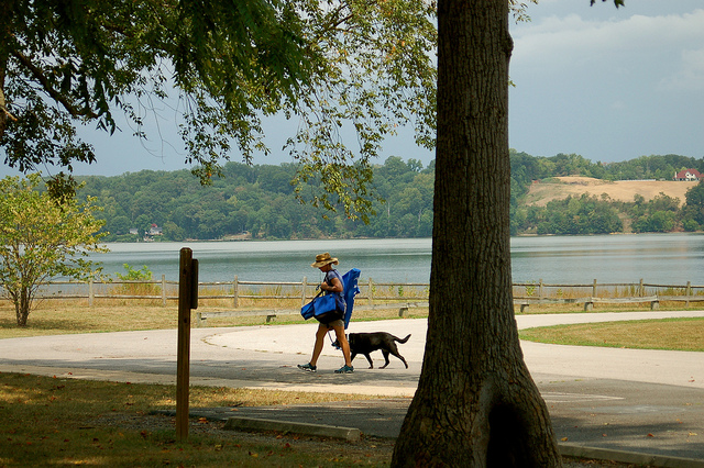 A person with a beach chair, walking with their dog, towards the beach.