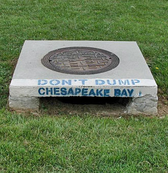 Storm drain that has "Chesapeake Bay" written on it