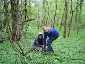 Two women pulling weeds in the forest.