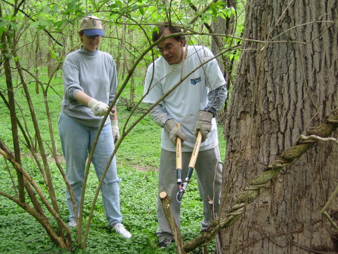 Two people standing in the forest, one has a pair of clippers, about to cut down a vine.