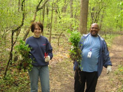 Two volunteers holding up invasive plants that they have removed from the forest. 