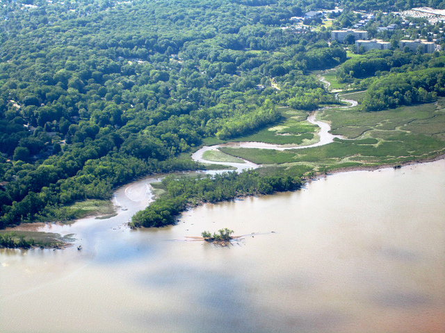 Aerial view of the marsh showing the stream and dense aquatic vegetation.