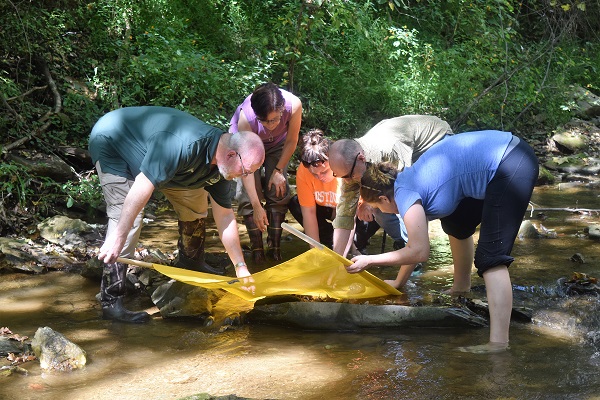 Five people standing in a stream looking at a net used for stream monitoring.