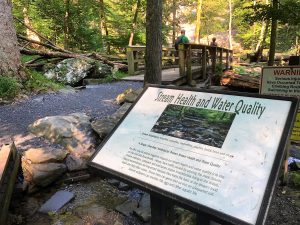 A sign in front of a boardwalk that looks over the Cunningham Falls. The sign talks about water quality. 