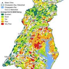 A map showing stream health within the Chesapeake Bay.