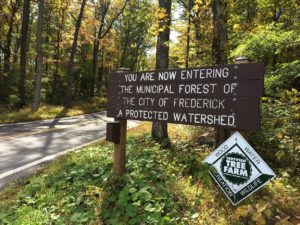 A wooden sign in front of a forest. The sign reads: You are now entering the municipal forest of the City of Frederick.