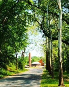 A path surrounded by trees. A building can be seen at the end of the path.