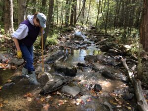 A woman stands in a creek holding a long-handled D-net.