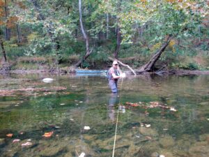 Scientist stands in a creek that has algae on the bottom.