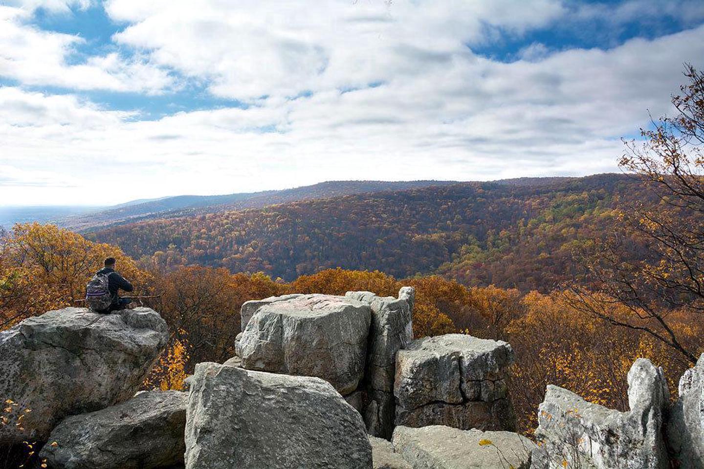A person sits on a rock overlooking mountains covered in fall forest.