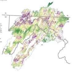 Screenshot of the Land Prioritization Map.