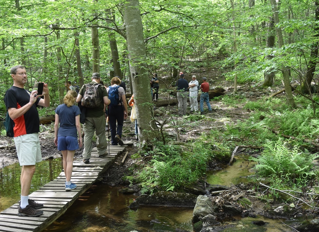 People hiking along a bridge over a stream in the Frederick Municipal Forest.