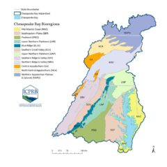 Map of Bioregions in the Chesapeake Bay Watershed.