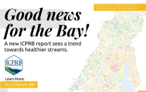 Graphic reads: Good news for the Bay! New ICPRB report sees a trend towards healthier streams.