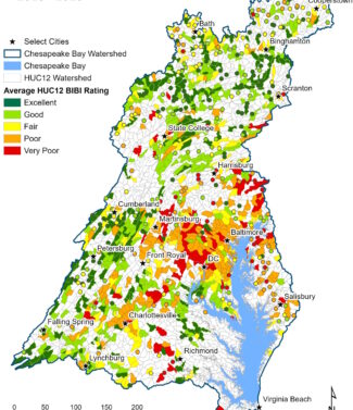 Chessie BIBI Stream Health Index (2018-2023)